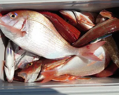 大盛丸の2023年3月15日(水)3枚目の写真