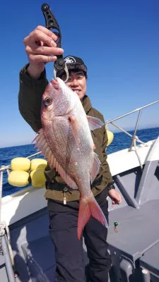 伊達丸の2023年3月16日(木)1枚目の写真