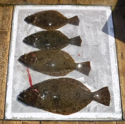 敏栄丸の2023年3月15日(水)2枚目の写真