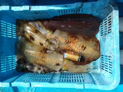 日正丸の2023年3月19日(日)2枚目の写真