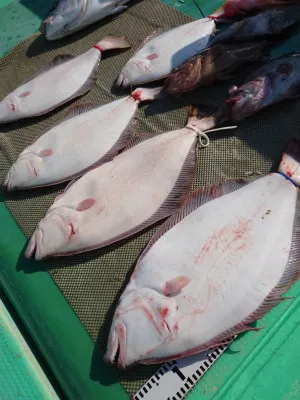 安延遊漁 建鳳丸の2023年3月19日(日)2枚目の写真