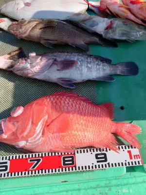 安延遊漁 建鳳丸の2023年3月19日(日)3枚目の写真