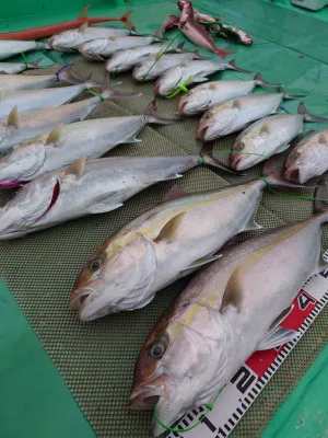 安延遊漁 建鳳丸の2023年3月20日(月)1枚目の写真