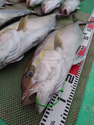 安延遊漁 建鳳丸の2023年3月20日(月)2枚目の写真