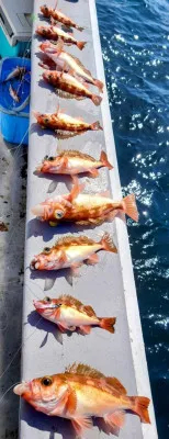 光海丸の2023年3月20日(月)4枚目の写真