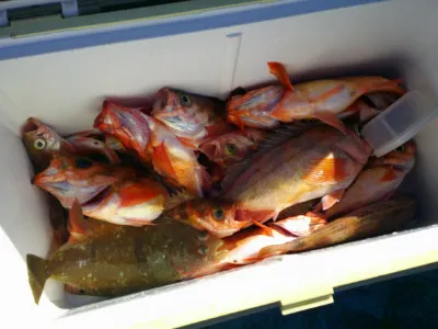 ゆたか丸の2023年3月19日(日)2枚目の写真