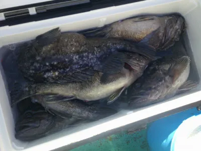 ゆたか丸の2023年3月20日(月)4枚目の写真