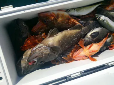 ゆたか丸の2023年3月20日(月)5枚目の写真