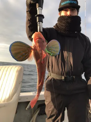 ARCADIA SALTWATER SERVICEの2023年3月21日(火)2枚目の写真