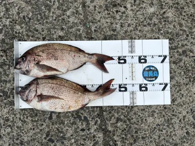 川端渡船の2023年3月21日(火)1枚目の写真