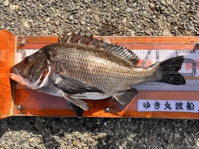 ゆき丸渡船の2023年3月11日(土)1枚目の写真