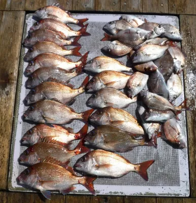 敏栄丸の2023年3月19日(日)1枚目の写真