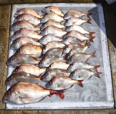 敏栄丸の2023年3月19日(日)2枚目の写真