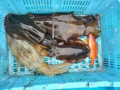 日正丸の2023年3月21日(火)2枚目の写真