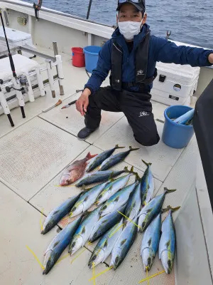 釣り船くわだの2023年3月20日(月)1枚目の写真