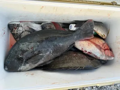 乙島丸の2023年3月21日(火)1枚目の写真