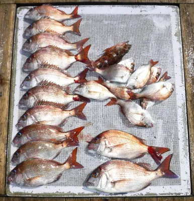 敏栄丸の2023年3月22日(水)1枚目の写真