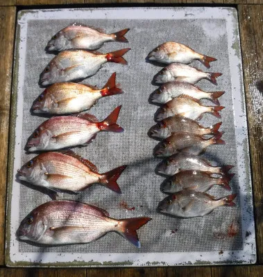 敏栄丸の2023年3月22日(水)2枚目の写真