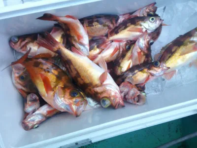 ゆたか丸の2023年3月21日(火)1枚目の写真