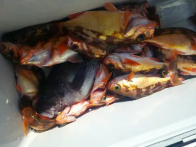 ゆたか丸の2023年3月21日(火)2枚目の写真