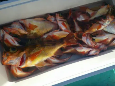 ゆたか丸の2023年3月21日(火)3枚目の写真