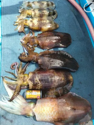 日正丸の2023年3月27日(月)2枚目の写真