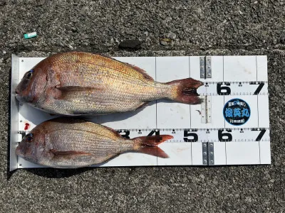 川端渡船の2023年3月27日(月)1枚目の写真