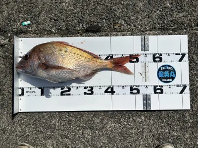 川端渡船の2023年3月27日(月)2枚目の写真