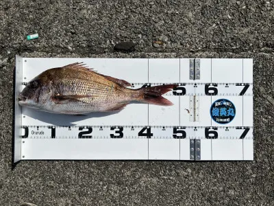 川端渡船の2023年3月27日(月)3枚目の写真