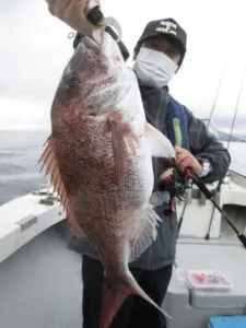 絢美丸の2023年3月27日(月)4枚目の写真