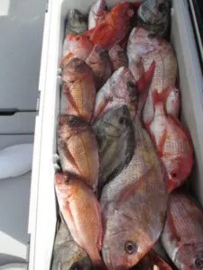 絢美丸の2023年3月27日(月)5枚目の写真