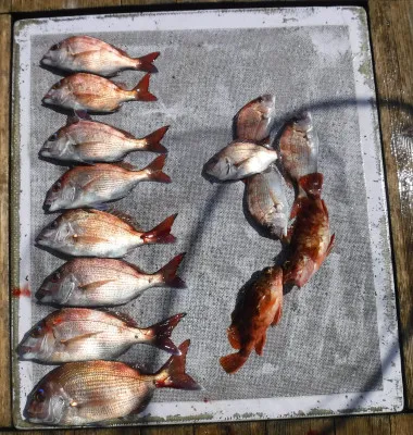 敏栄丸の2023年3月28日(火)1枚目の写真