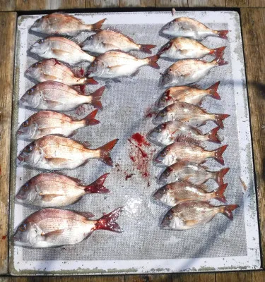 敏栄丸の2023年3月28日(火)2枚目の写真