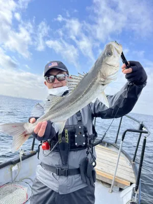 林遊船の2023年3月30日(木)1枚目の写真