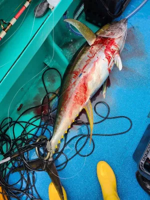 重郎平丸の2023年3月31日(金)2枚目の写真