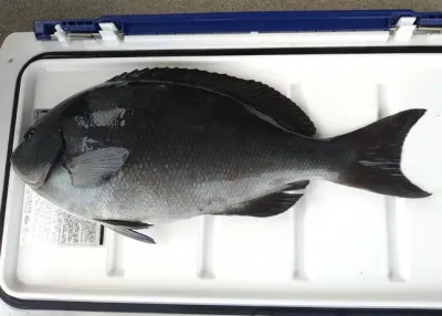 乙島丸の2023年3月30日(木)3枚目の写真