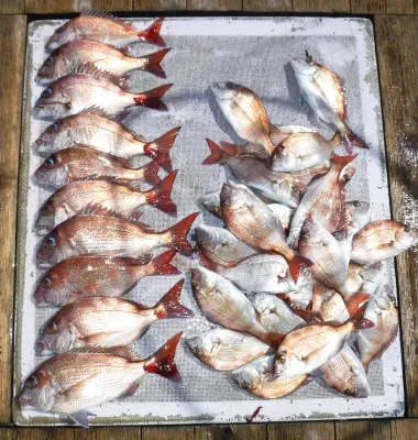 敏栄丸の2023年3月29日(水)1枚目の写真