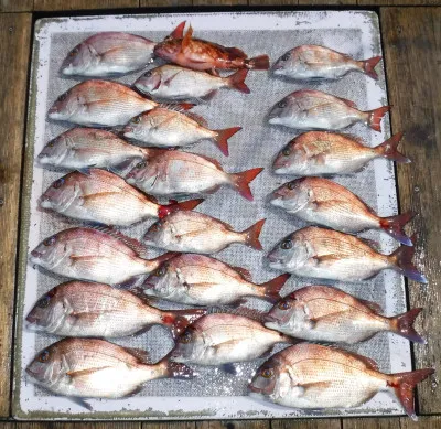 敏栄丸の2023年4月2日(日)1枚目の写真