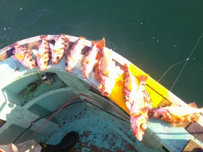 ゆたか丸の2023年3月29日(水)1枚目の写真