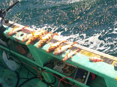 ゆたか丸の2023年4月2日(日)1枚目の写真