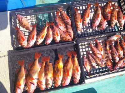 ゆたか丸の2023年4月2日(日)2枚目の写真