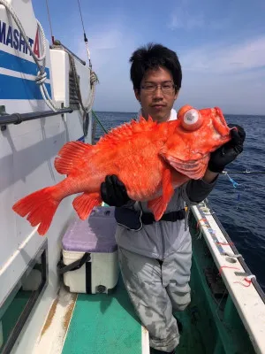 いわき丸の2023年4月5日(水)2枚目の写真