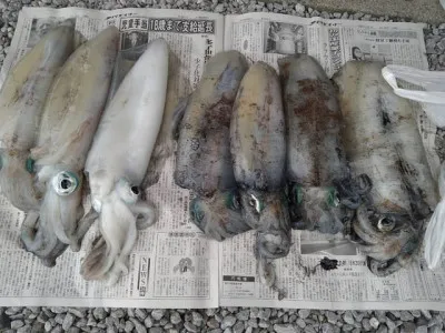 乙島丸の2023年3月31日(金)1枚目の写真