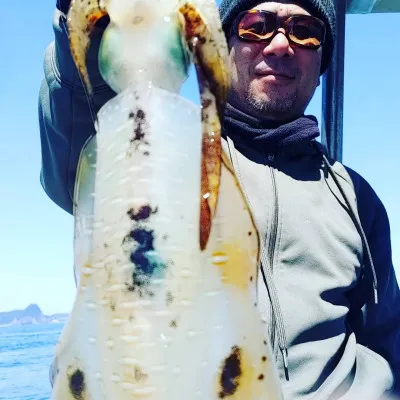 正徳丸の2023年4月9日(日)1枚目の写真