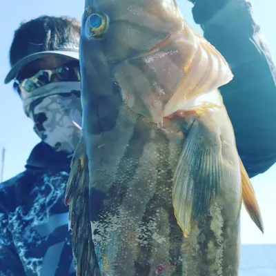 正徳丸の2023年4月9日(日)2枚目の写真