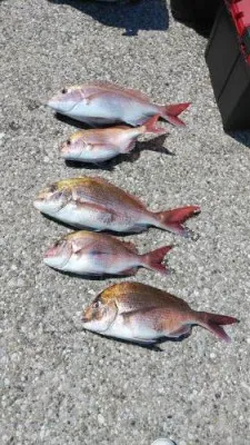 美喜丸の2023年4月9日(日)1枚目の写真