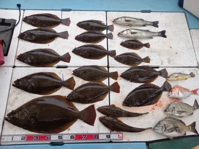 SUSIMARUの2023年4月5日(水)2枚目の写真