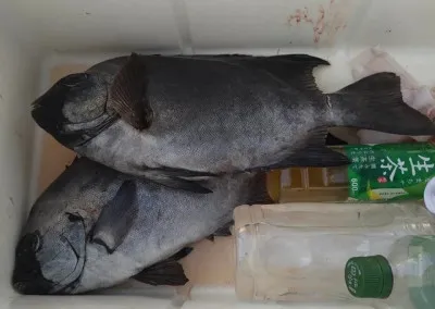 乙島丸の2023年4月15日(土)5枚目の写真