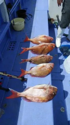 美喜丸の2023年4月17日(月)2枚目の写真