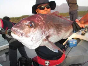 絢美丸の2023年4月22日(土)2枚目の写真